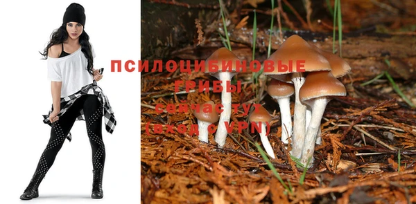 гашиш Переславль-Залесский