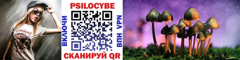 Псилоцибиновые грибы Psilocybe  как найти наркотики  Топки 