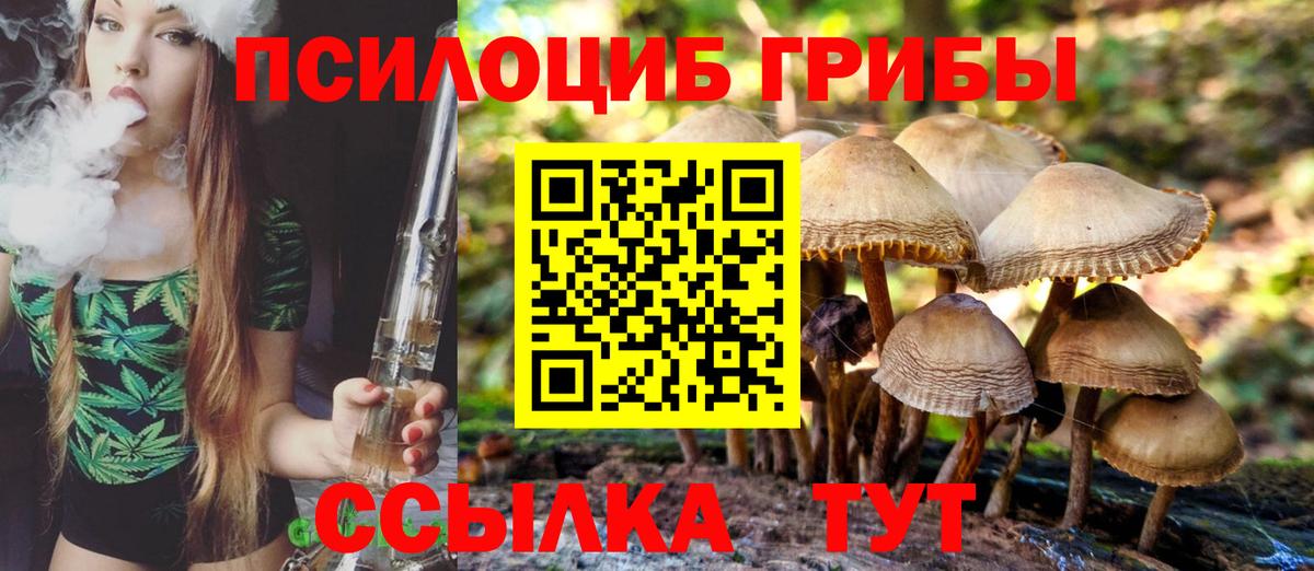 Псилоцибиновые грибы ЛСД  Вход с VPN  Топки 