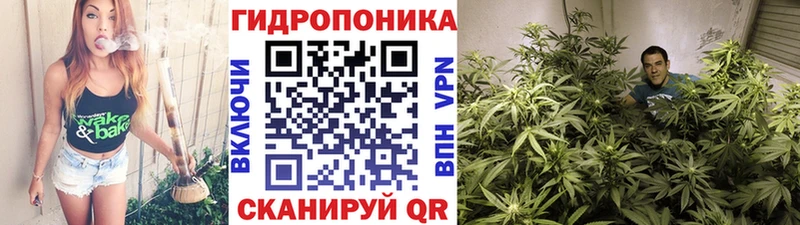 как найти   Топки  МАРИХУАНА Ganja 